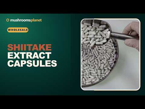 Shiitake extract capsules video review