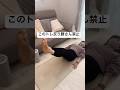 反り腰さん専用の下腹鬼凹むトレ✨#産後ダイエット #宅トレ #宅トレダイエット #反り腰改善 #下腹部痩せ