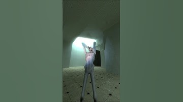 SCP-096:SL Nextbot Chasing 8