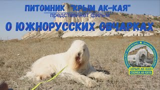 ФИЛЬМ О ПОРОДЕ И ЮЖНОРУССКИХ ОВЧАРКАХ из питомника КРЫМ АК-КАЯ ФИЛЬМ О ПОРОДЕ И ЮЖНОРУССКИХ ОВЧАРКАХ из питомника КРЫМ АК-КАЯ