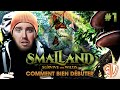  smalland survive the wilds  1  comment bien dbuter le jeu fr