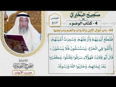 163- باب أبوال الإبل والدواب والغنم ومرابضها - صحيح البخاري - عثمان الخميس