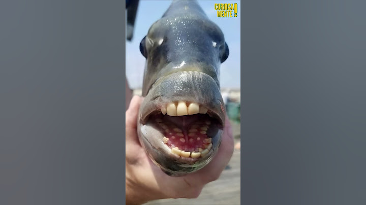 As bocas mais bizarras do reino animal part. 6😳😨 #shorts #curiosidades #short #shortvideo