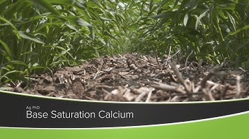 Base Saturation Calcium (From Ag PhD Show #1174 - Air Date 10-4-20)