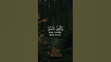 من الآية ٥٧ إلى الآية ٥٨ من سورة العنكبوت بصوت القارئ عبدالرحمن مسعد