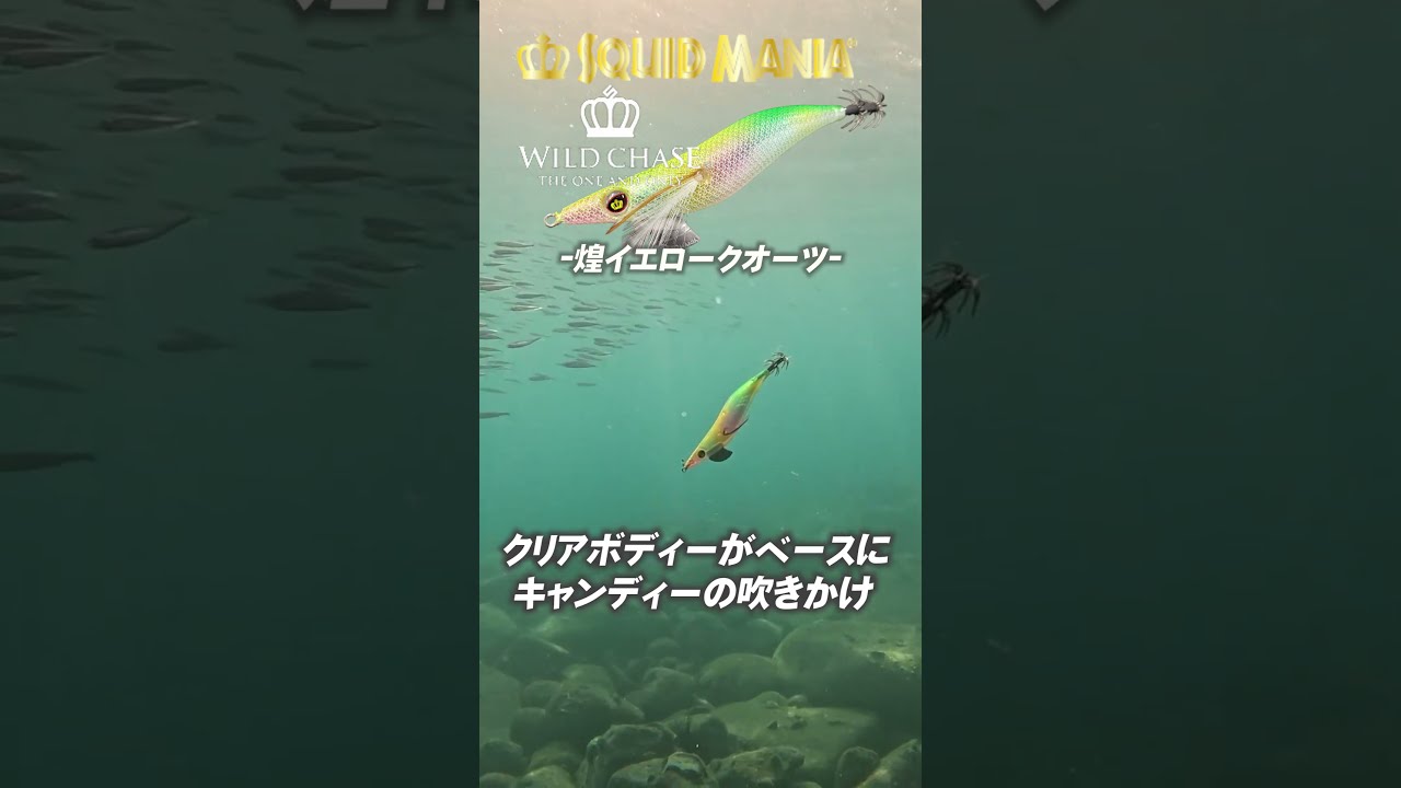 ストロベリークォーツ 翼ロングイ | Crystal shop Mayria