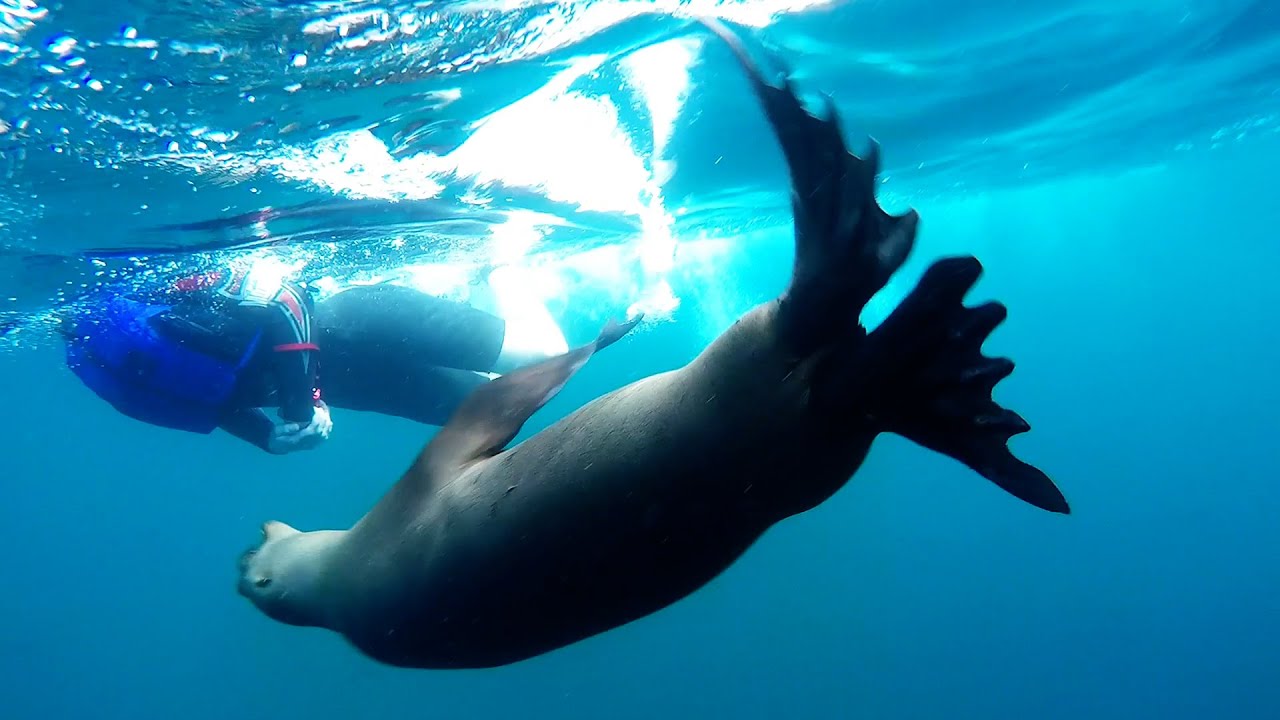 Before you go snorkeling, Summer gets a nice cum facial in H