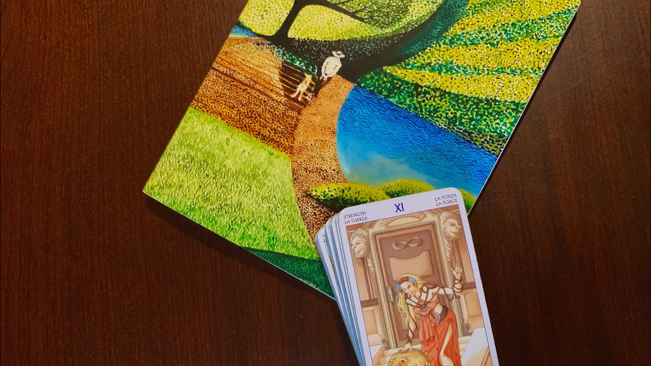 ვნახოთ ფიქრი, გრძნობა და მოქმედება 1 თვის მანძილზე