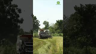 Best Combine Harvester Machine Technology Working At Rice Farm 12