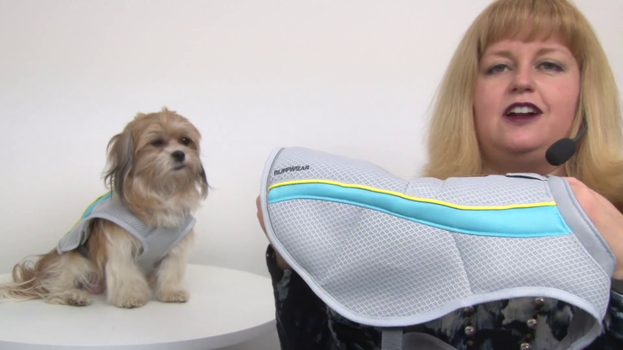 Swamp Cooler Dog Vest by RuffWear Graphite Gray with Blue Wave YouTube