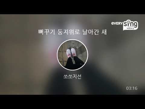 [everysing] 뻐꾸기 둥지위로 날아간 새