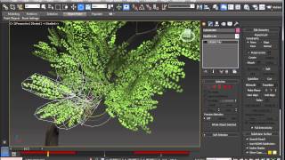 07 Adding Branches to Tree