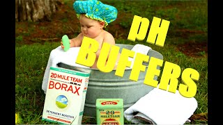 What Borates in Swimming Pools do!