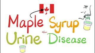 Maple Syrup Urine Disease - Inborn errors of metabolism - Biochemistry & Genetics