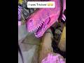 I Got Tricked #dynosaurus #outdoors #funny  #funnyvideo