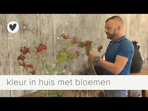 Video: Bloemen In Het Trappenhuis - Welke Planten Kunnen De Trappenhuizen Van Uw Huis Versieren