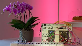 Eurorack Ambient: Serenade in Bloom
