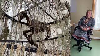 Máret Ánne Sara The Sámi Pavilion, Venice Biennale 2022