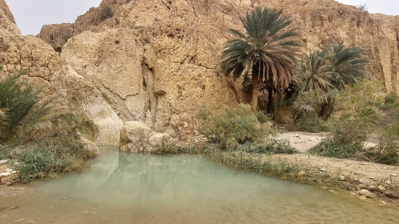 Сахара — экскурсия в Тунисе 