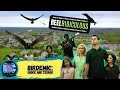 The greatest disaster film ever made, or the worst? | Reel Ridiculous #12 - Birdemic