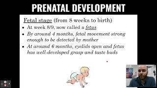 Prenatal & Newborn Development