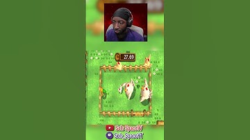 CUCCO MASTER IN LINK BETWEEN WORLDS