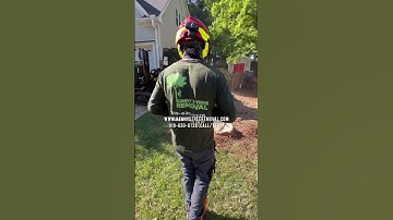 Say Goodbye to Unsightly Stumps: Expert Stump Grinding Services in Apex, NC by Kenny