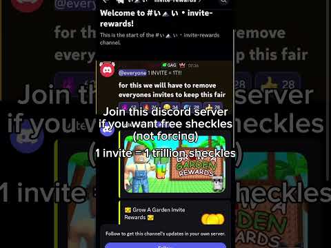 New Discord Server