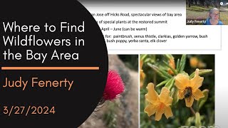 Where to Find Wildflowers in the Bay Area, a talk by Judy Fenerty