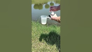 Ag Water Testing: Pond Sampling