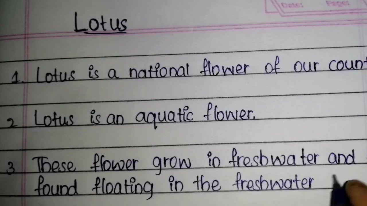 10 lines on LOTUS in English / short essay on lotus YouTube