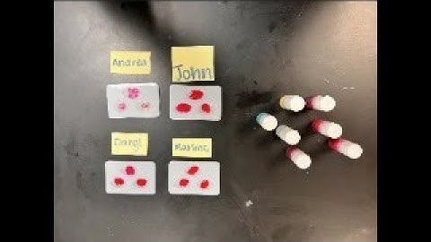 Genetics Blood Typing-PBL Project