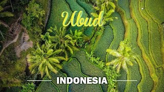 Exploring Ubud, Bali in 1 minute!