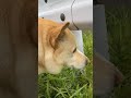 誰もいないのにそんな顔して
