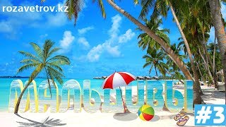 Туры на Мальдивы из Алматы | Отдых на Мальдивах, часть 3 Туры на Мальдивы из Алматы | Отдых на Мальдивах, часть 3