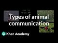 Types of animal communication | Individuals and Society | MCAT | Khan Academy