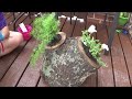 Flower planter from a log