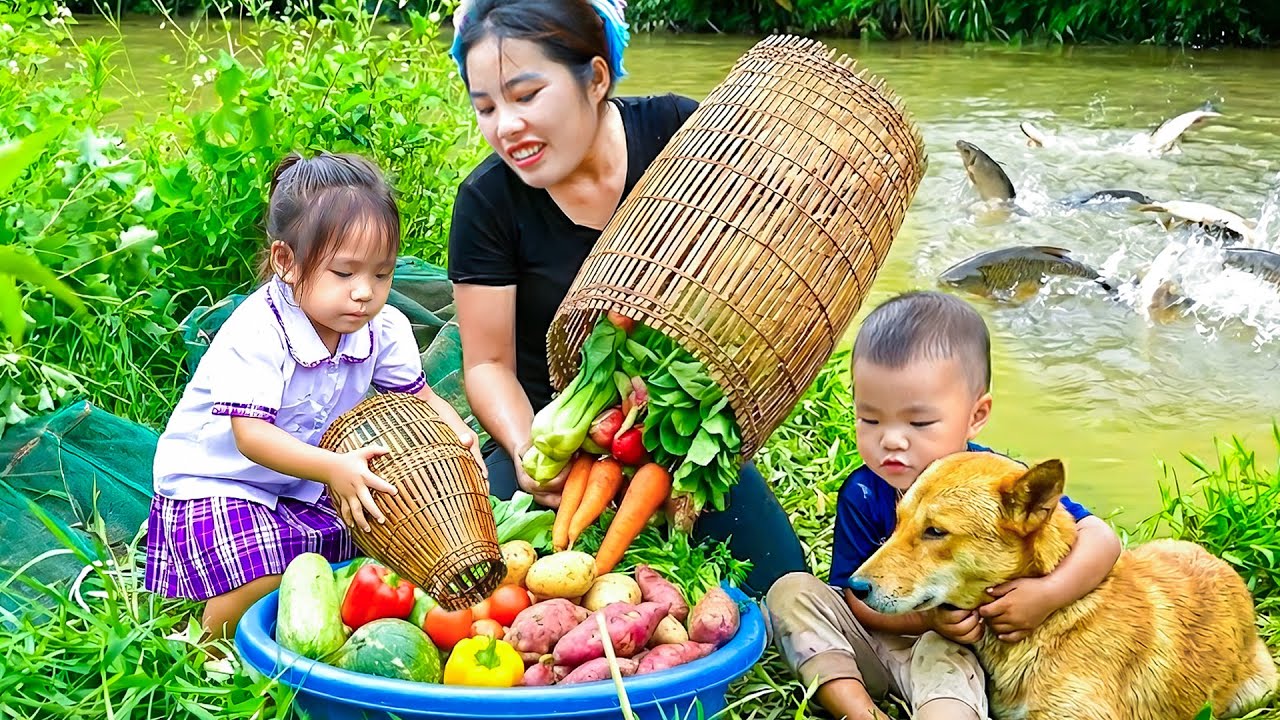 Catching a Large Group of Fish with Bamboo Tools – Harvesting and Selling at the Market with My Kids