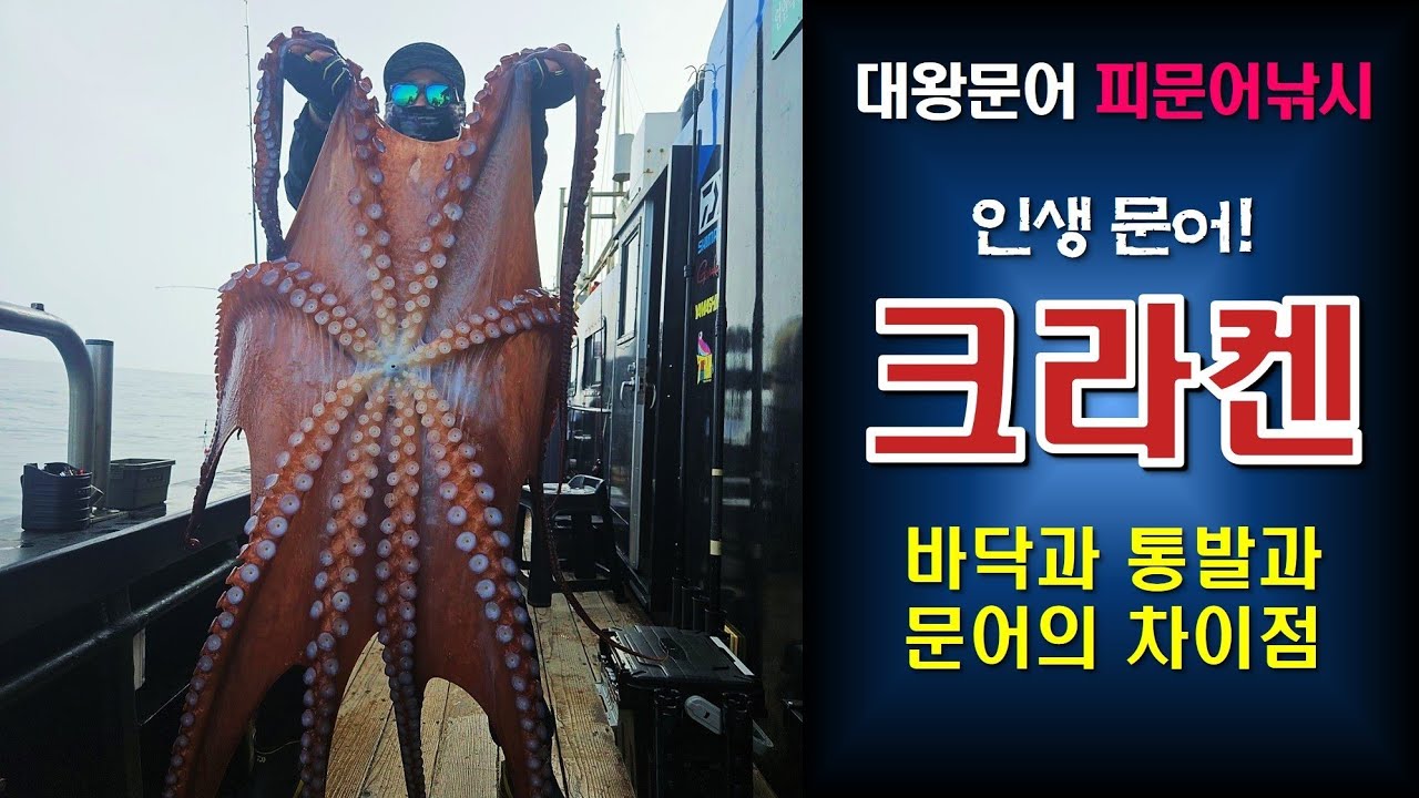 피문어낚시 _ 인생문어 크라켄을 드디어!!  바닥과 통발과 문어의 차이점