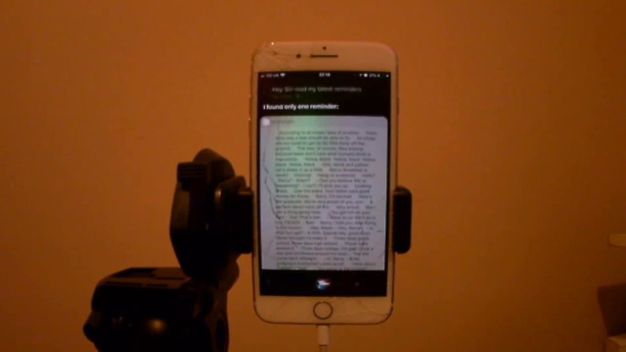 Making Siri Read The Entire Bee Movie Script 