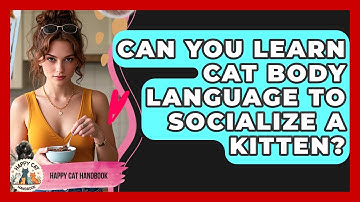 Can You Learn Cat Body Language To Socialize A Kitten? - Happy Cat Handbook