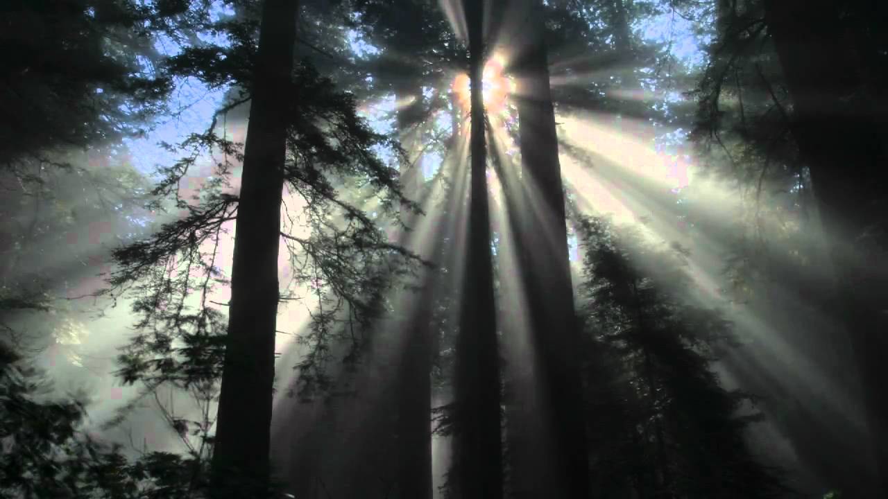 green-party-ad-environment-youtube