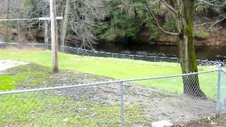 239 River Rd video tour
