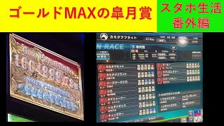 【MAX登録のP馬皐月賞!】 (スタホ生活番外編) ゴールドプログレッシブがカンスト状態なのでプレイヤー馬がMAX登録!果たして・・・ #スタホ4 【MAX登録のP馬皐月賞!】 (スタホ生活番外編) ゴールドプログレッシブがカンスト状態なのでプレイヤー馬がMAX登録!果たして・・・ #スタホ4