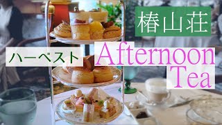 Chinzanso Harvest Afternoon Tea, this is my fifth time. Highly