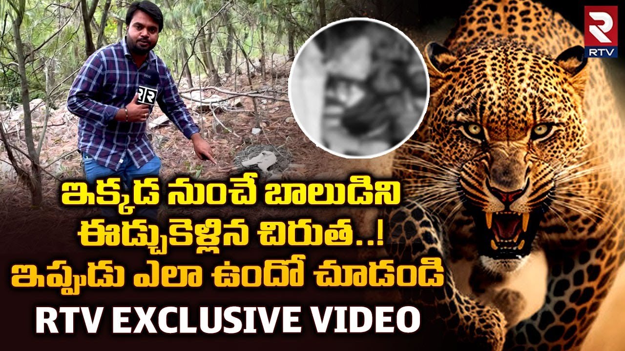 Cheetah Attack On 3 Years Small Boy At Tirupati Explained | బాలుడిని