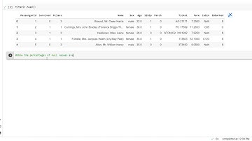 Show the percentage off Null Values Every Column in Dataframe Python
