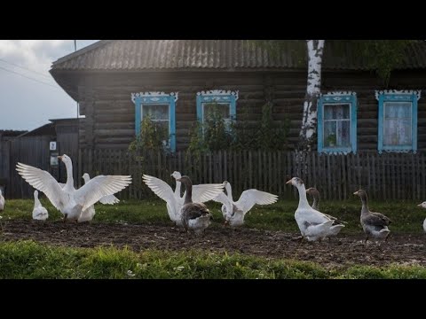 На краю пропасти: село под Нижним Новгородом разрушает оползень