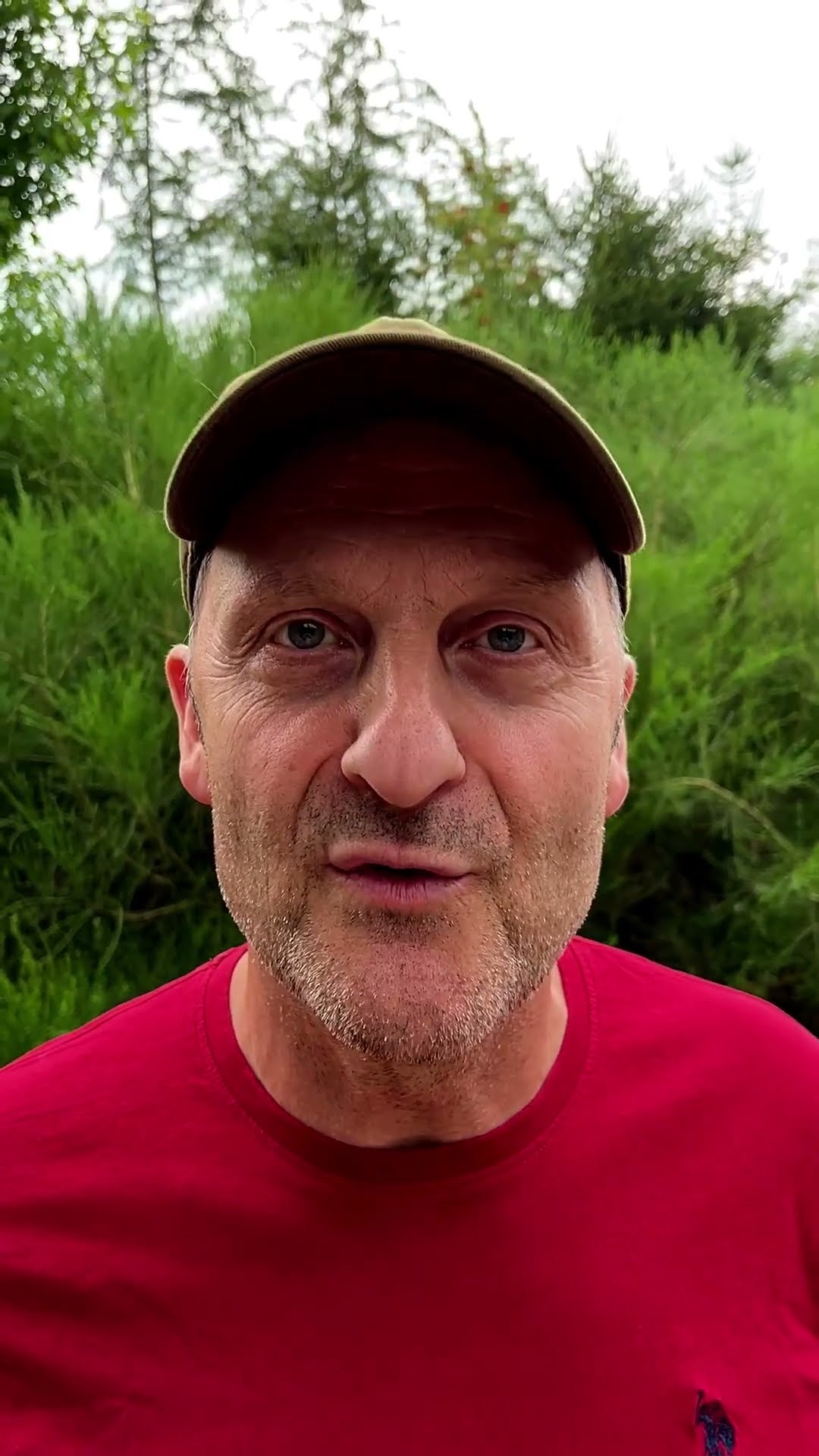 Warum eine scharfe Axt wichtig ist! #short #coaching #emdr - YouTube