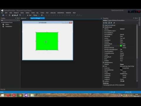 C# Form Application : Button Properties